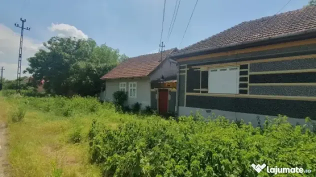 Vand casa Macea