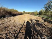 Teren intravilan, 2406 mp, zona Viile Satu Mare 