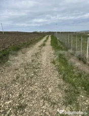 Teren de vânzare intravilan, 10 ari, Bosanci