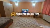 Garsoniera de inchiriat Dristor București ApexImobiliare.r 
