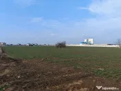 Dragomiresti Valea - Langa Centura, teren 15.600 mp, 28E/mp 