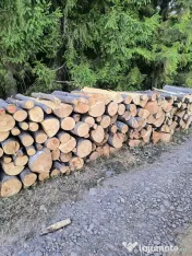 Vand lemn de foc