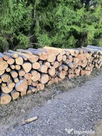 Vand lemn de foc