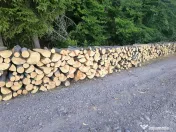 Vand lemn de foc