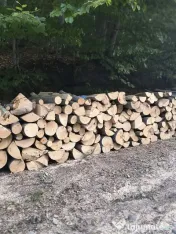 Vand lemn de foc