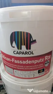 Decorativă pentru exterior 