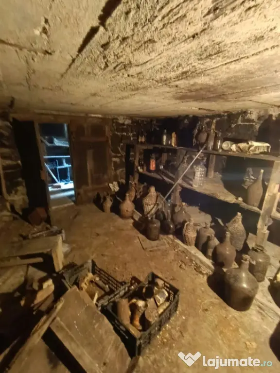 Casă cu caracter și potențial deosebit în Centrul Vechi - Baia Mare (Maramures)