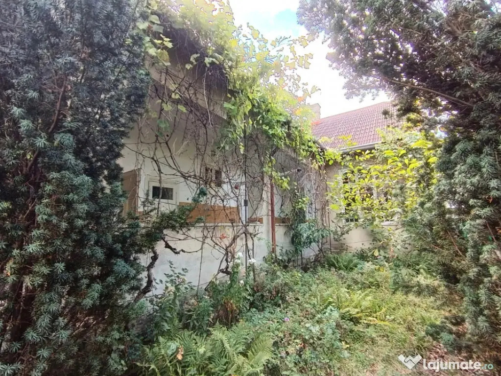 Casă cu caracter și potențial deosebit în Centrul Vechi - Baia Mare (Maramures)