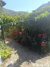 Casa Vermes cu 4900 mp teren 