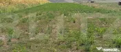 Teren extravilan de vanzare, 5.200 mp, zona Zaicesti