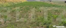 Teren extravilan de vanzare, 5.200 mp, zona Zaicesti
