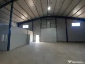 Hale de vanzare in Afumati 