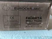 Faianță Euroceramic