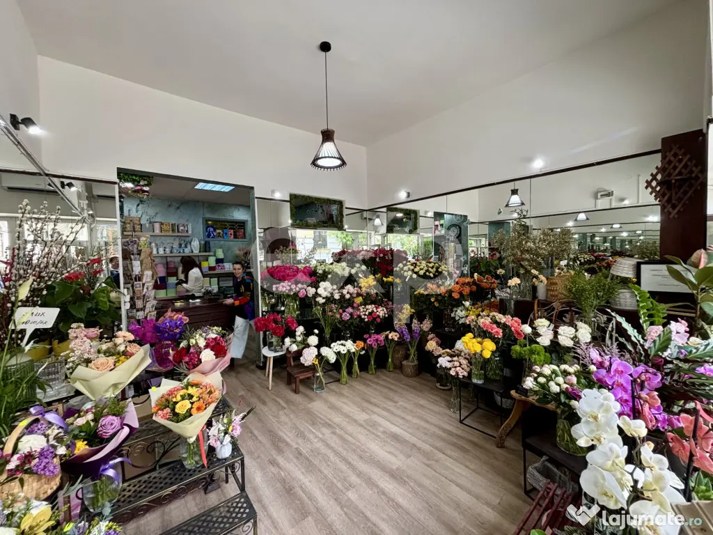 Oportunitate investitie - Spatiu comercial ultracentral, inc - Bucuresti (Bucuresti-Ilfov)