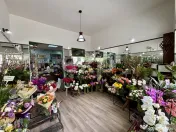 Oportunitate investitie - Spatiu comercial ultracentral, inc 
