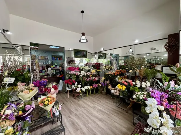 Oportunitate investitie - Spatiu comercial ultracentral, inc - Bucuresti (Bucuresti-Ilfov)