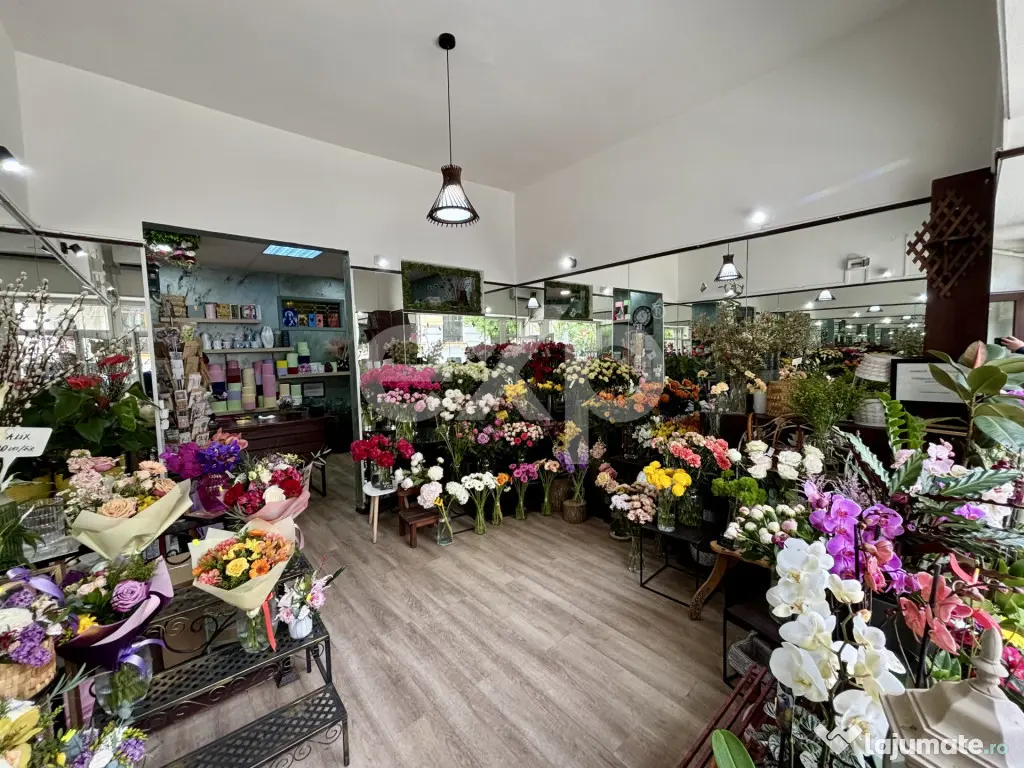 Oportunitate investitie - Spatiu comercial ultracentral, inc - Bucuresti (Bucuresti-Ilfov)