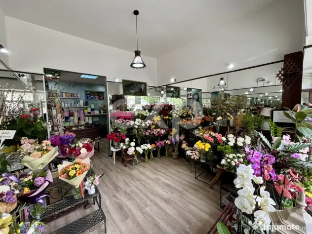 Oportunitate investitie - Spatiu comercial ultracentral, inc - Bucuresti (Bucuresti-Ilfov)