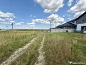 Teren de vanzare Hanul cu Ponei Carcea 550mp 