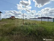 Teren de vanzare Hanul cu Ponei Carcea 550mp 
