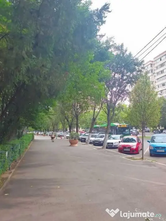 Piata sudului obregia confort 2 - Bucuresti (Bucuresti-Ilfov)