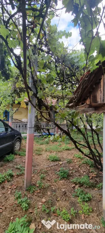 Casa cu doua corpuri - Luncani (Cluj)