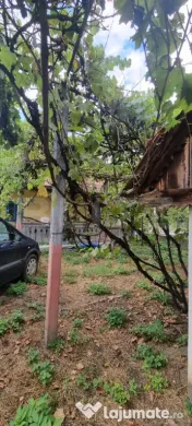 Casa cu doua corpuri