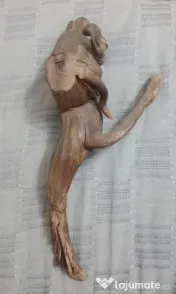 Sculptura naiva in radacina lemn driftwood 40 cm.