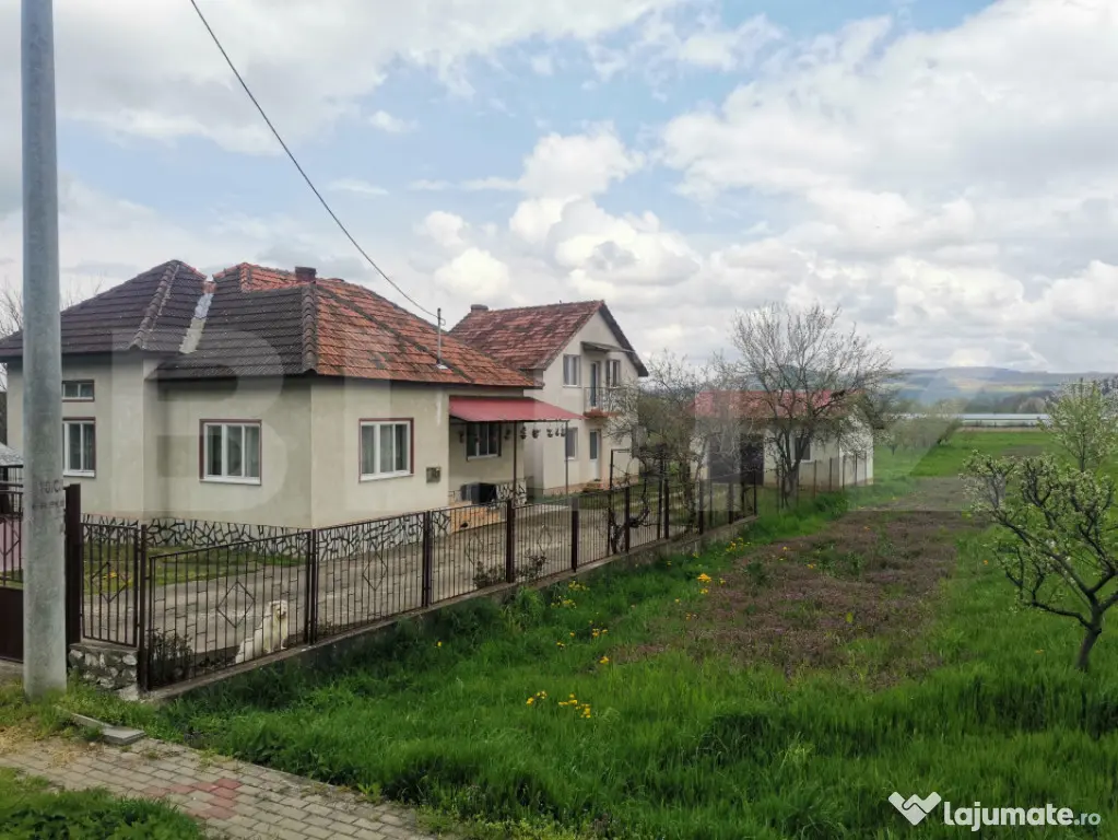 Două case, garaj și 1.370 mp de teren, amplasată la DN, ? - Lesnic (Hunedoara)