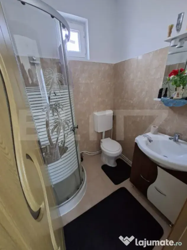 Două case, garaj și 1.370 mp de teren, amplasată la DN, ? - Lesnic (Hunedoara)