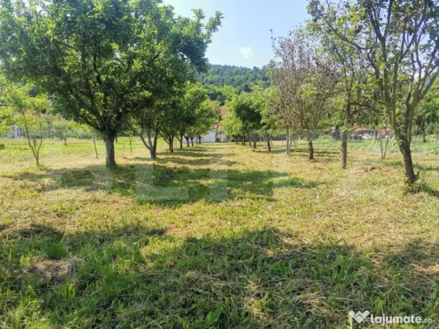 Două case, garaj și 1.370 mp de teren, amplasată la DN, ? - Lesnic (Hunedoara)