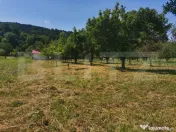 Două case, garaj și 1.370 mp de teren, amplasată la DN, ? 