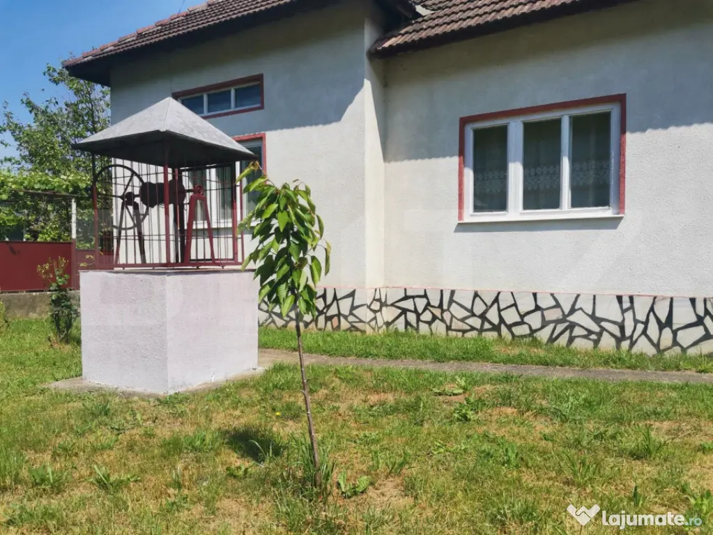 Două case, garaj și 1.370 mp de teren, amplasată la DN, ? - Lesnic (Hunedoara)