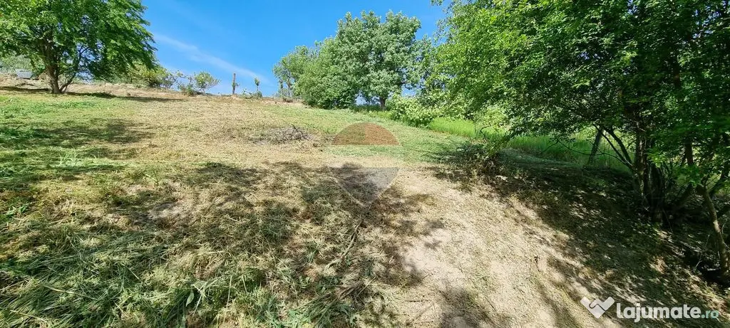 GATA DE CONSTRUIT -TEREN de VANZARE - Ocolis (Maramures)