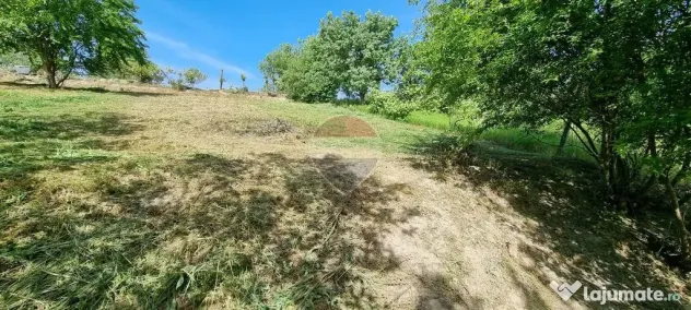 GATA DE CONSTRUIT -TEREN de VANZARE - Ocolis (Maramures)