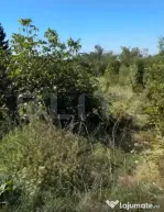 Teren intravilan, 1.539 mp, zona Valea Voievozilor