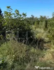 Teren intravilan 1.539 mp în Valea Voievozilor – acces la 