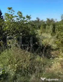 Teren intravilan, 1.539 mp, zona Valea Voievozilor