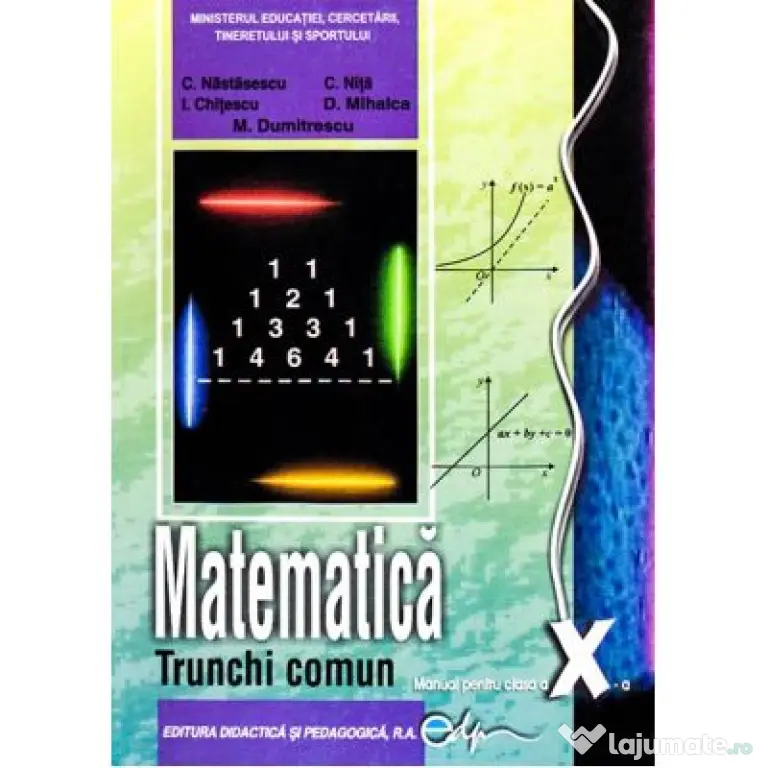Manual matematica clasa a 10-a trunchi comun - Constantin Nastasescu