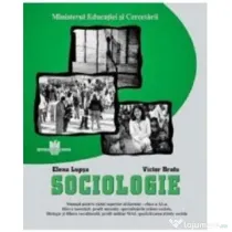 Sociologie. Manual pentru clasa a 11-a - Elena Lupsa