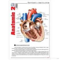 Pliant Anatomie 2