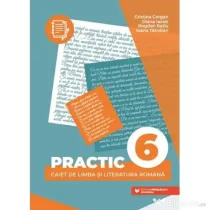 Practic 6. Caiet de limba si literatura romana - Cristina Cergan