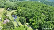 DOMENIU DE 2.1 HA CU 2 CABANE LAC SI PADURE - OPORTUNITATE P