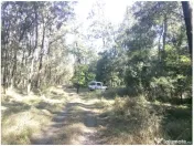 Teren extravilan padure Buzau,Costesti