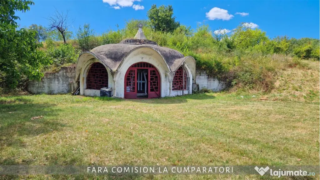OPORTUNITATE UNICA IN DOMENIUL VITICOL - Orlesti (Valcea)