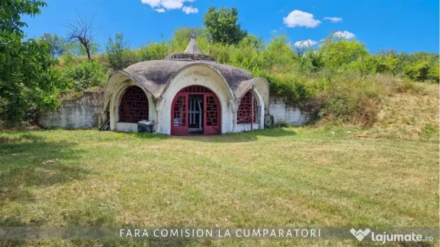 OPORTUNITATE UNICA IN DOMENIUL VITICOL - Orlesti (Valcea)