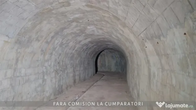 OPORTUNITATE UNICA IN DOMENIUL VITICOL - Orlesti (Valcea)