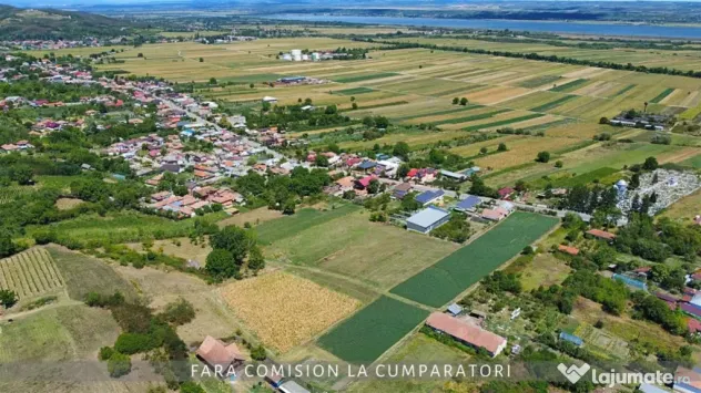 OPORTUNITATE UNICA IN DOMENIUL VITICOL - Orlesti (Valcea)