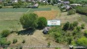 OPORTUNITATE UNICA IN DOMENIUL VITICOL