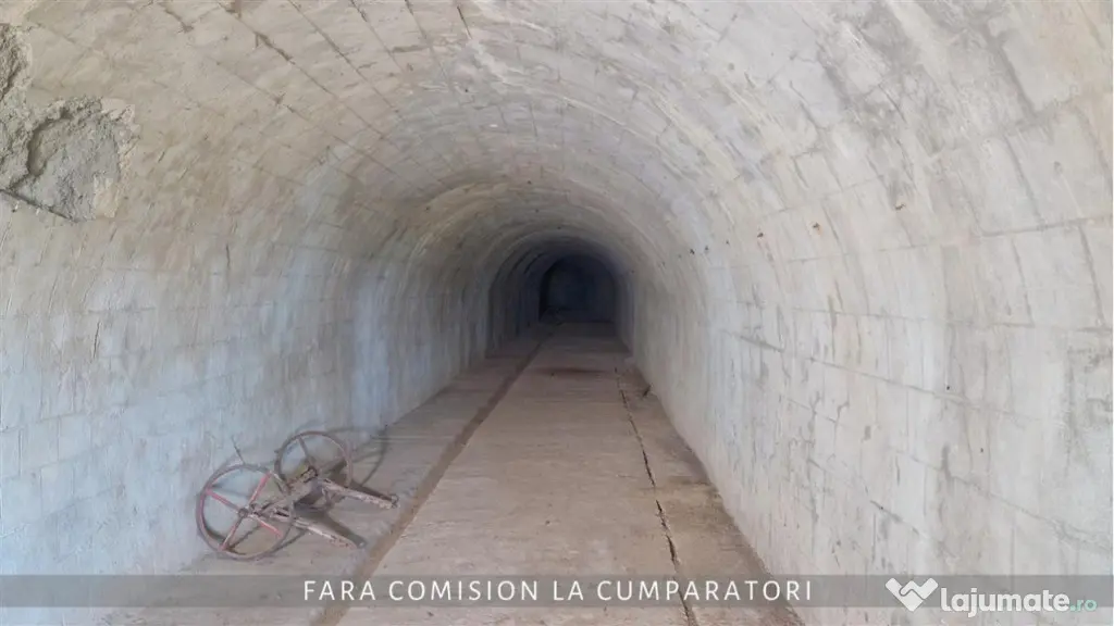 OPORTUNITATE UNICA IN DOMENIUL VITICOL - Orlesti (Valcea)
